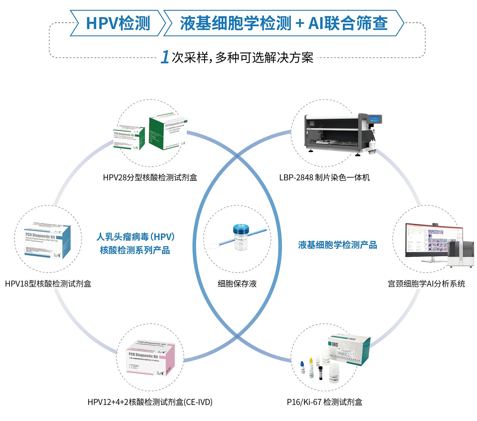 篩查方案.jpg